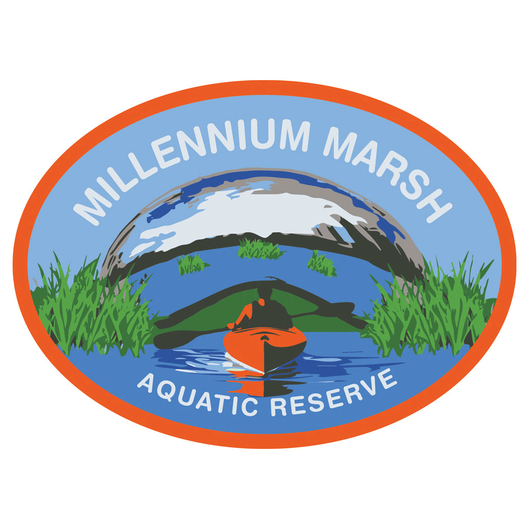 Future Climate Souvenirs of Chicago: Millennium Marsh Aquatic Reserve Patch