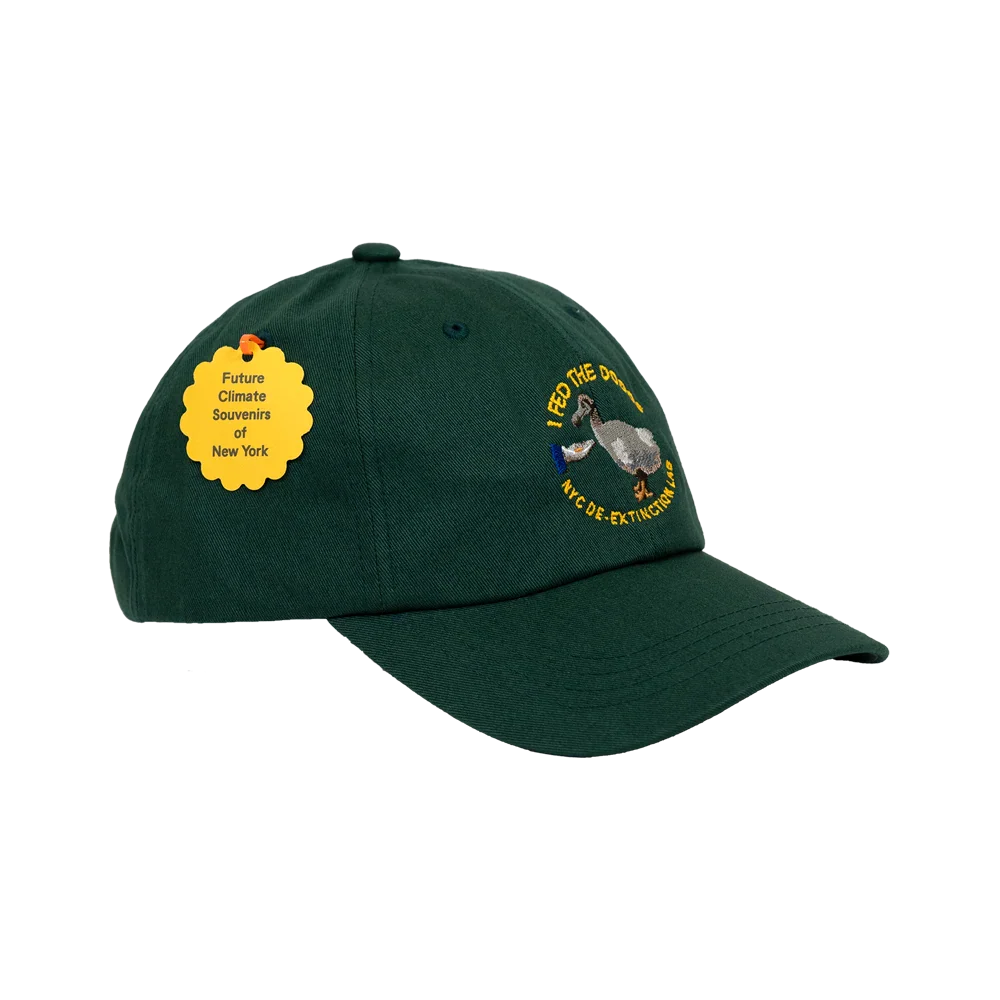 Future Climate Souvenirs of New York: I Fed the Dodos Hat